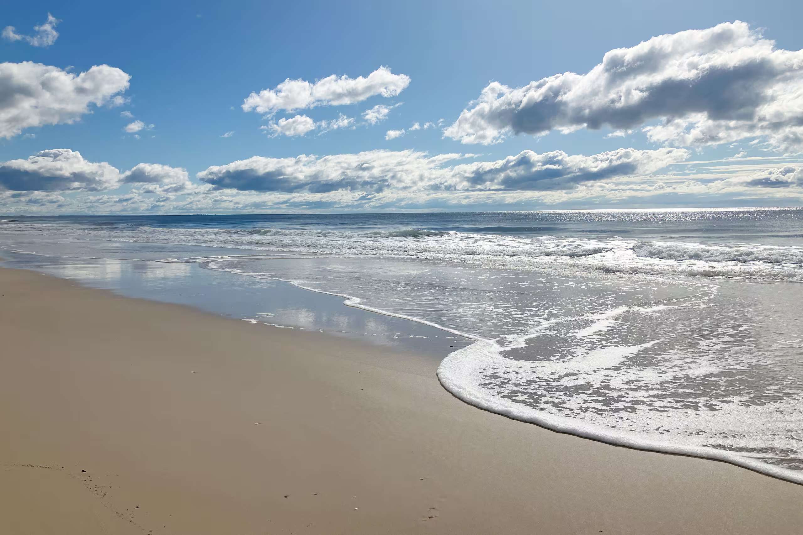 Woorim Beach offers a truly immersive and unforgettable coastal experience for wildlife enthusiasts and beachgoers alike.